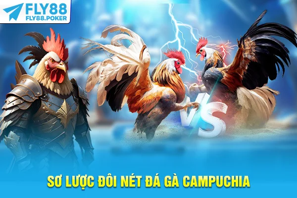 Đá Gà Campuchia - Hòa Không Khí Sôi Động, Cược Minh Bạch 5 Sơ lược đôi nét đá gà Campuchia